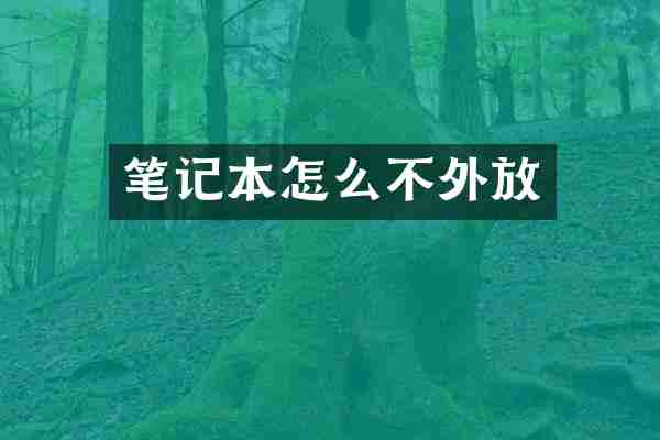 笔记本怎么不外放