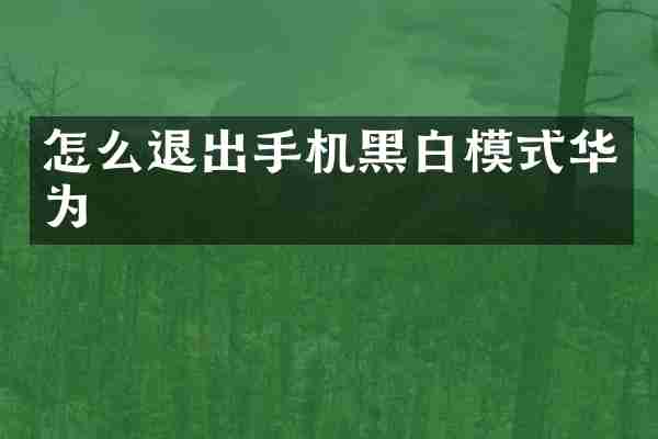怎么退出手机黑白模式华为