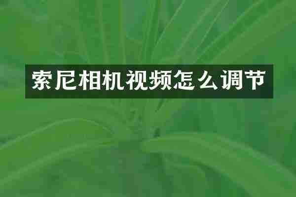 索尼相机视频怎么调节