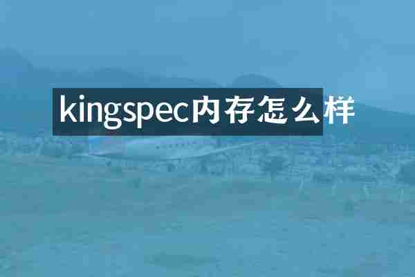kingspec内存怎么样
