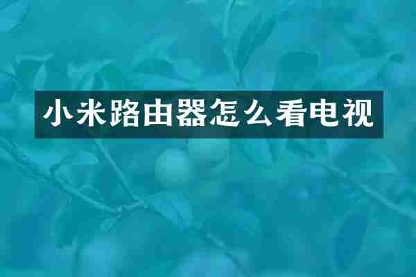 小米路由器怎么看电视