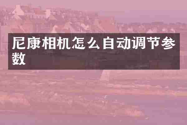 尼康相机怎么自动调节参数