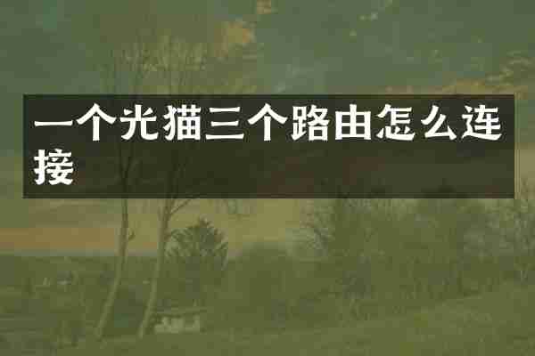 一个光猫三个路由怎么连接