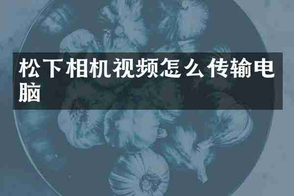 松下相机视频怎么传输电脑