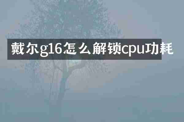 戴尔g16怎么解锁cpu功耗