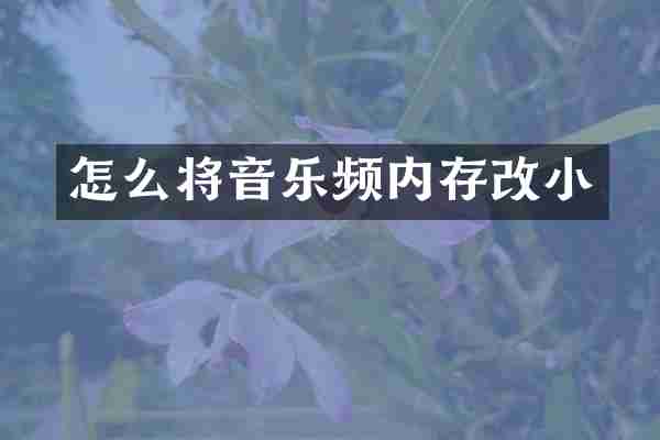 怎么将音乐频内存改小