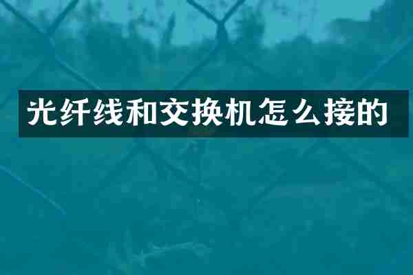 光纤线和交换机怎么接的