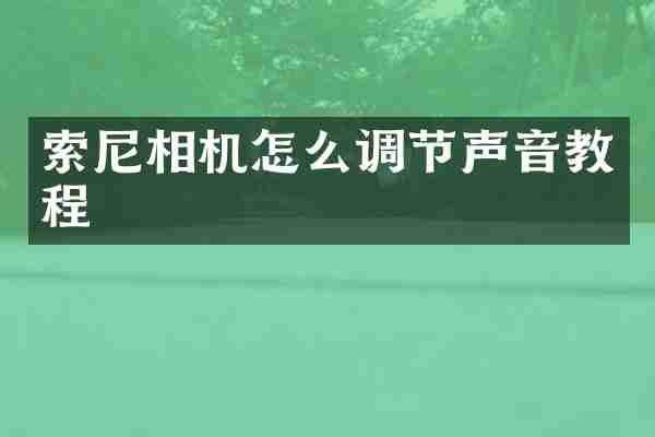 索尼相机怎么调节声音教程
