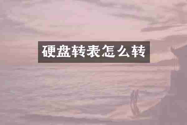 硬盘转表怎么转