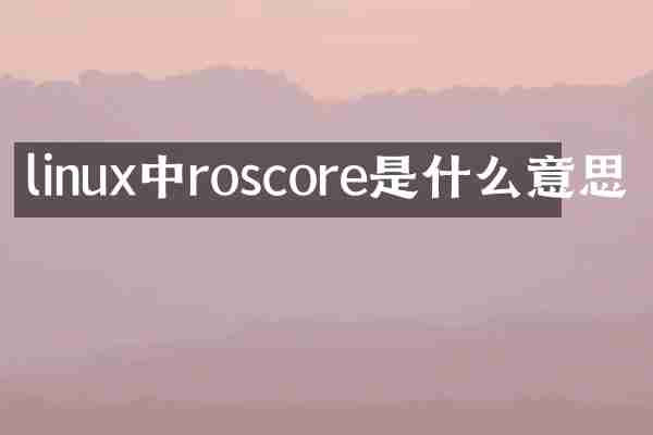 linux中roscore是什么意思