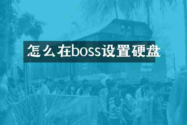 怎么在boss设置硬盘