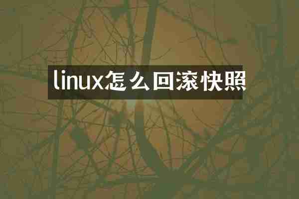 linux怎么回滚快照