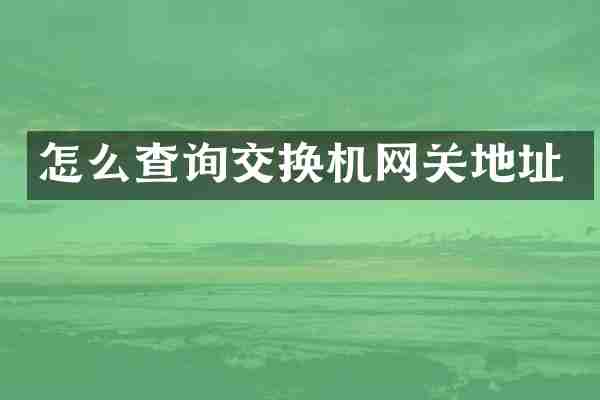 怎么查询交换机网关地址