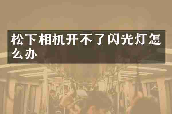 松下相机开不了闪光灯怎么办