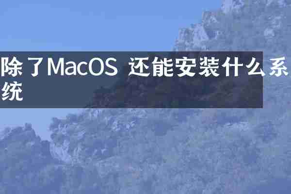 除了MacOS 还能安装什么系统