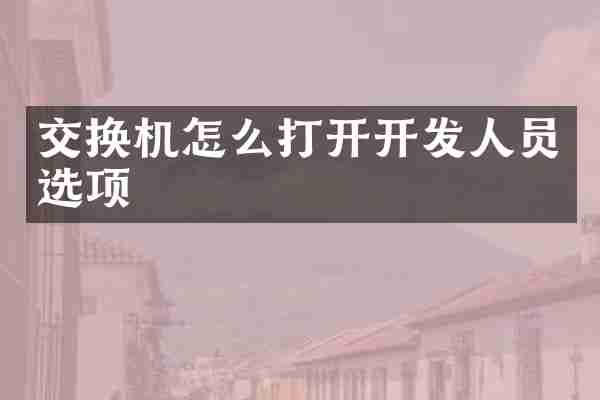 交换机怎么打开开发人员选项