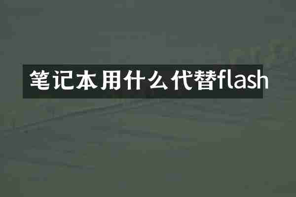 笔记本用什么代替flash