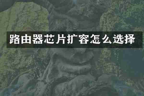 路由器芯片扩容怎么选择