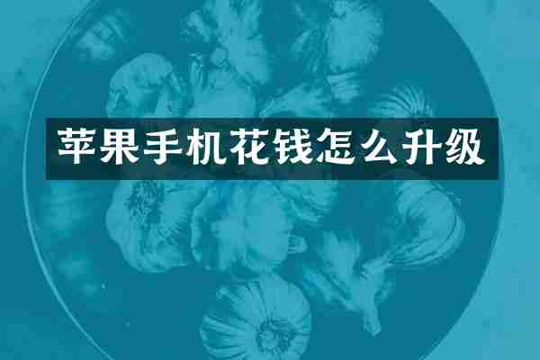 苹果手机花钱怎么升级