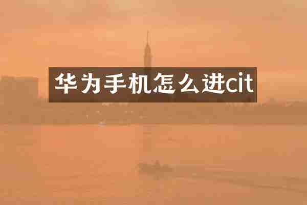 华为手机怎么进cit