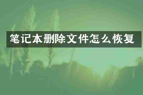 笔记本删除文件怎么恢复