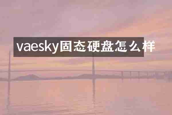 vaesky固态硬盘怎么样