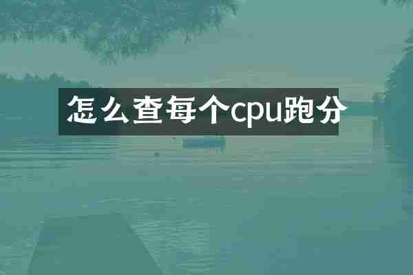 怎么查每个cpu跑分
