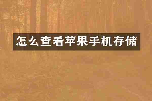 怎么查看苹果手机存储