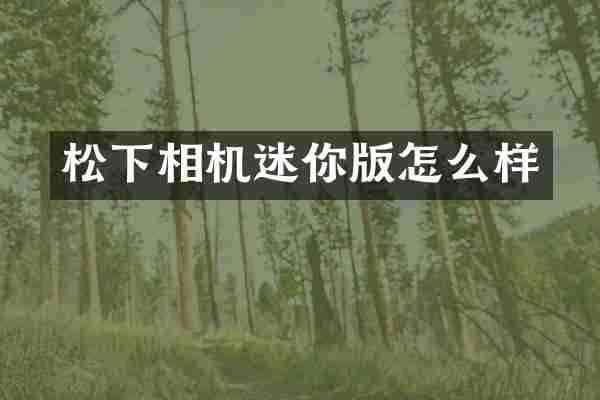 松下相机迷你版怎么样