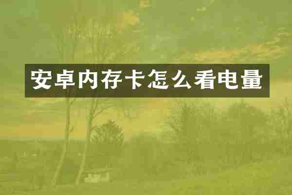 安卓内存卡怎么看电量