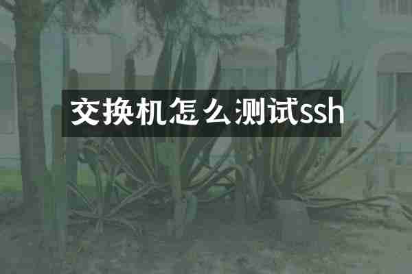 交换机怎么测试ssh