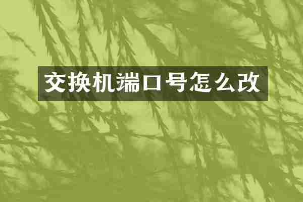 交换机端口号怎么改