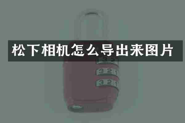 松下相机怎么导出来图片