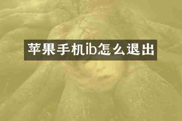 苹果手机ib怎么退出
