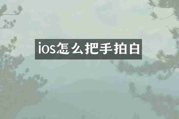 ios怎么把手拍白