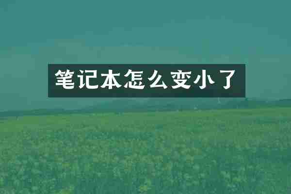 笔记本怎么变小了