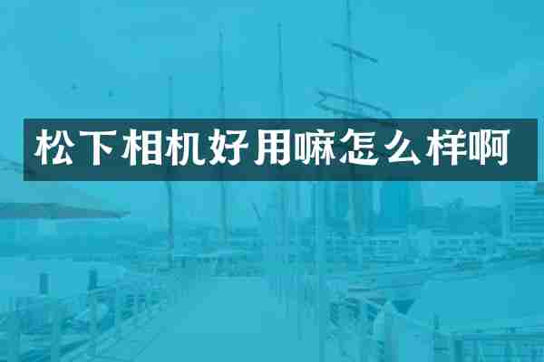 松下相机好用嘛怎么样啊
