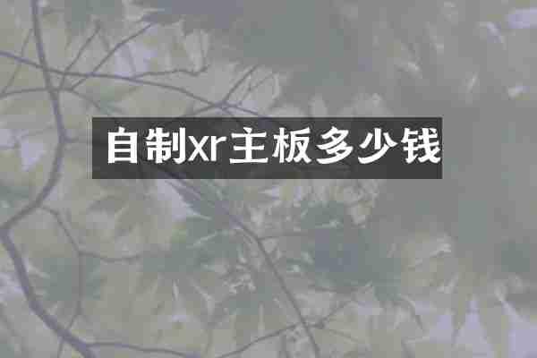 自制xr主板多少钱