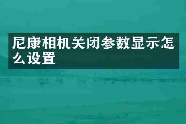尼康相机关闭参数显示怎么设置