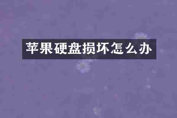 苹果硬盘损坏怎么办