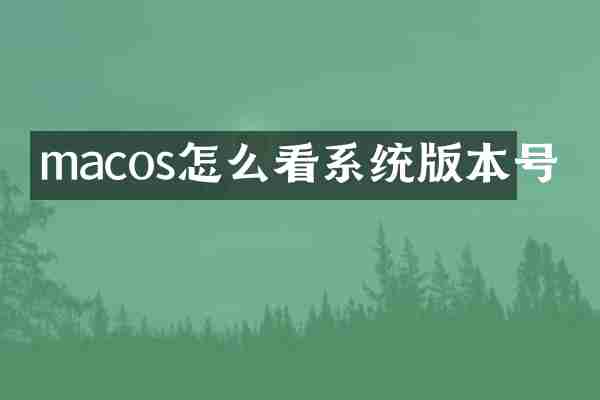 macos怎么看系统版本号