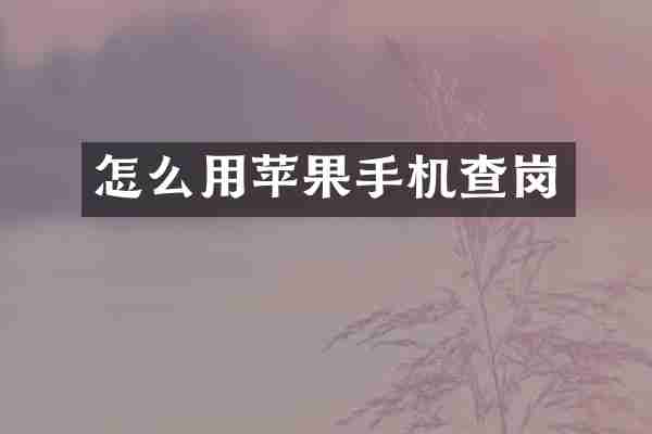 怎么用苹果手机查岗