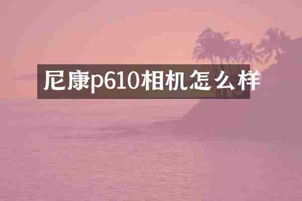 尼康p610相机怎么样