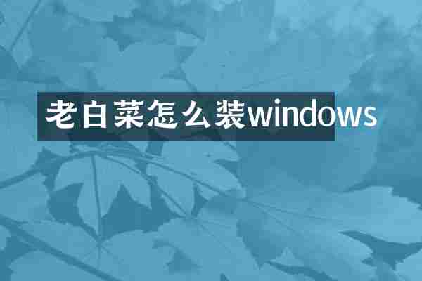 老白菜怎么装windows