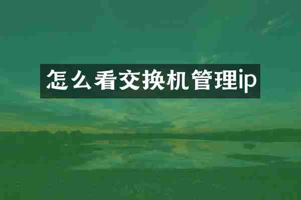 怎么看交换机管理ip