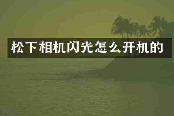 松下相机闪光怎么开机的