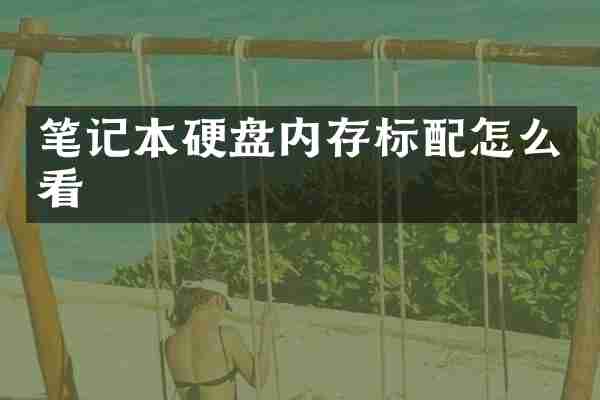 笔记本硬盘内存标配怎么看