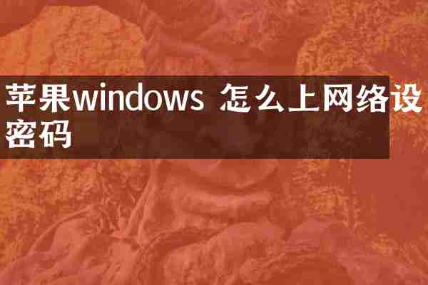 苹果windows 怎么上网络设置密码