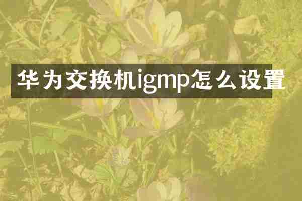华为交换机igmp怎么设置