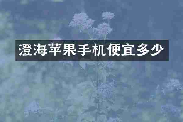 澄海苹果手机便宜多少